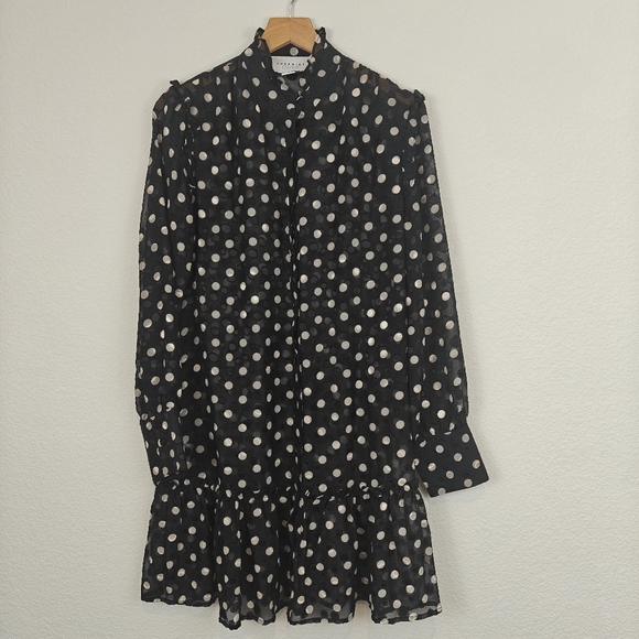 THE SHIRT By Rochelle Behrens Long Sleeve Polkadot Chiffon Mini Shirt Dress Sz S - Picture 2 of 14